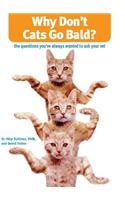 Why Don't Cats Go Bald?: The Questions You've Always Wanted to Ask Your Vet
