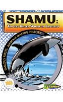 Shamu: 1st Killer Whale in Captivity