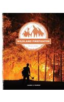 Wildland Firefighter