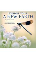 A New Earth 2020 Calendar