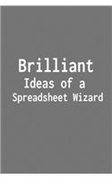 Brilliant Ideas of a Spreadsheet Wizard