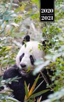 Panda Bear Week Planner Weekly Organizer Calendar 2020 / 2021 - Hidden in Bush