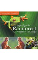 Animals of the Rainforest Wildlife of the Jungle Encyclopedias for Children