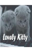 Lovely Kitty