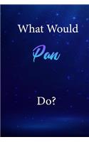 What Would Pan Do?