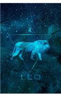 Leo: Journal