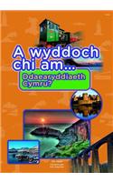 Cyfres a Wyddoch Chi: A Wyddoch Chi am Ddaearyddiaeth Cymru?