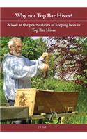 Why Not Top Bar Hives?