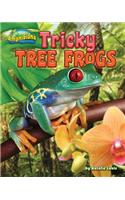 Tricky Tree Frogs