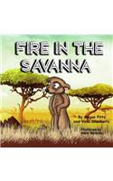 Fire in the Savanna