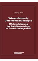 Wissensbasierte Unternehmensanalyse