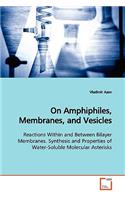 On Amphiphiles, Membranes, and Vesicles