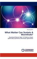 What Matter Can Sustain A Wormhole?