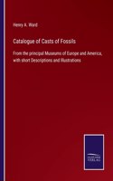 Catalogue of Casts of Fossils