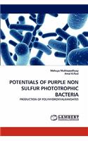Potentials of Purple Non Sulfur Phototrophic Bacteria