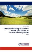 Spatial Modeling of Carbon Pools and Fluxes of Terrestrial Ecosystems
