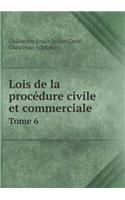 Lois de la procédure civile et commerciale Tome 6: (French)