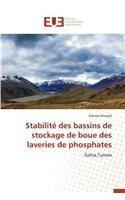 Stabilité Des Bassins de Stockage de Boue Des Laveries de Phosphates