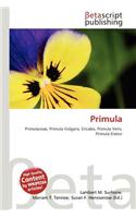 Primula