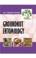 Groundnut Entomology