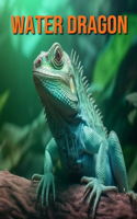 Water Dragon