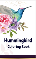 Hummingbird coloring book