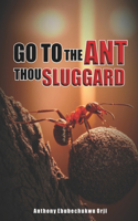 Go To The Ant Thou Sluggard