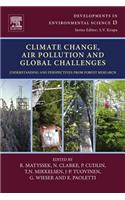 Climate Change, Air Pollution and Global Challenges
