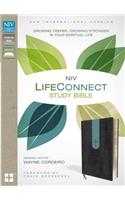 Life Connect Study Bible-NIV: Growing Deeper, Growing Stronger in Your Spiritual Life: Growing Deeper, Growing Stronger in Your Spiritual Life