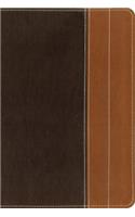 NIV, Essentials Study Bible, Leathersoft, Brown/Tan: Easily Grasp the Fundamentals of Scripture through Lenses from 6 Bestselling NIV Resources