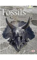 Bug Club Guided Non Fiction Year Two Gold A Fossils