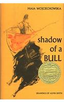 Shadow of a Bull