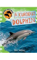 Animal Instincts: A Curious Dolphin