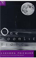 One Moonlit Night