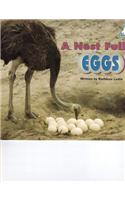 Steck-Vaughn Pair-It Books Early Emergent: Individual Student Edition a Nest Full of Eggs(Steck-Vaughn Pair-It Books Early Emergent)