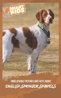 Unbelievable Pictures and Facts About English Springer Spaniels