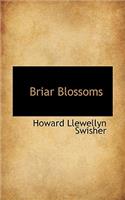 Briar Blossoms