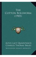 Cotton Bollworm (1905)