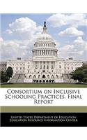 Consortium on Inclusive Schooling Practices. Final Report