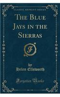 The Blue Jays in the Sierras (Classic Reprint)