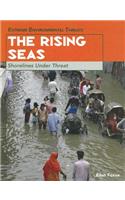 The Rising Seas