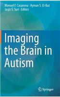 Imaging the Brain in Autism
