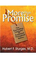 More Than a Promise