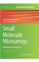 Small Molecule Microarrays