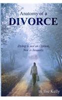 Anatomy of a Divorce: Dying is not an Option, nor is Insanity(English)