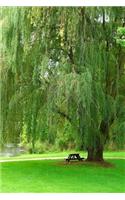 Glorious Green Weeping Willow Tree in a Park in the Summer Journal: 150 Page Lined Notebook/Diary