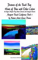 Pictures of the Back Bay Hints of Blue with Other Colors the Upper Newport Bay Nature Preserve and Ecological Reserve Newport Beach California Book 1 by Nature Artist Grace Divine