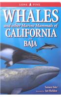 Whales and Other Marine Mammals of California and Baja