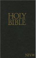 Holy Bible-NIV