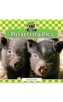 Potbellied Pigs